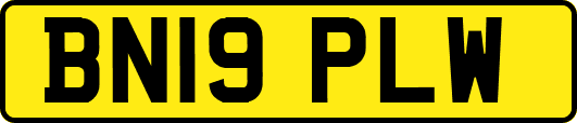 BN19PLW