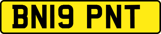 BN19PNT