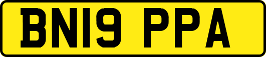 BN19PPA