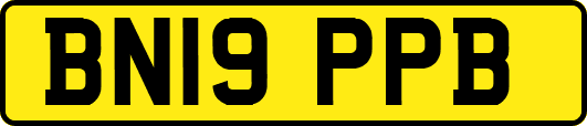 BN19PPB