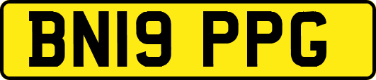 BN19PPG