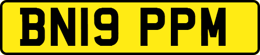 BN19PPM