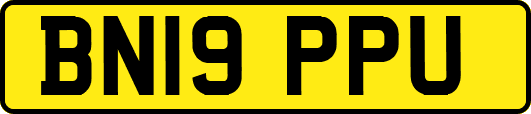 BN19PPU