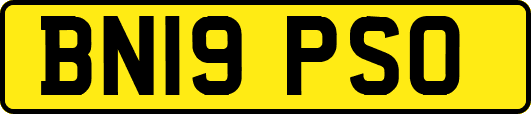 BN19PSO