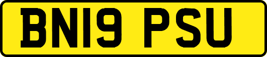 BN19PSU