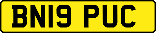 BN19PUC