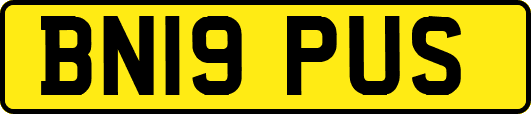 BN19PUS