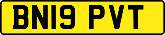 BN19PVT