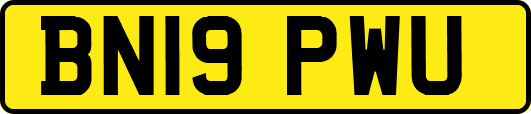 BN19PWU