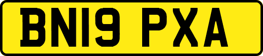 BN19PXA