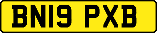 BN19PXB