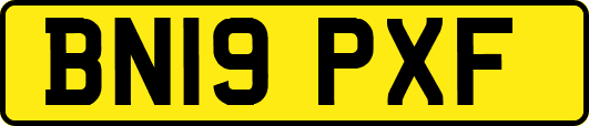 BN19PXF