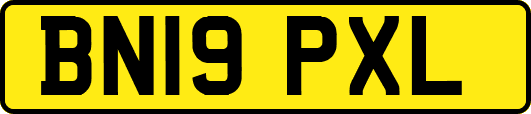 BN19PXL