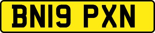 BN19PXN