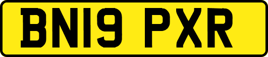 BN19PXR