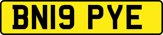 BN19PYE