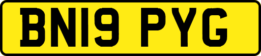 BN19PYG