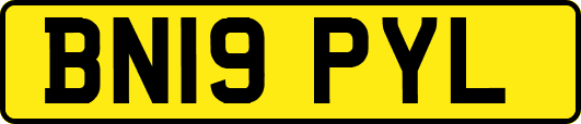 BN19PYL