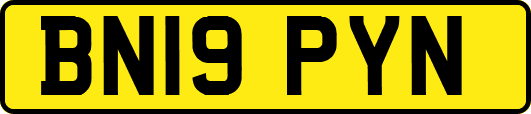 BN19PYN