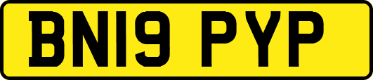 BN19PYP