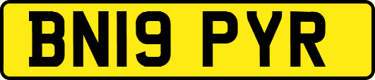 BN19PYR