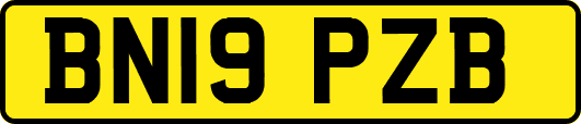 BN19PZB