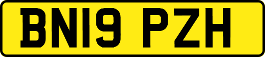 BN19PZH