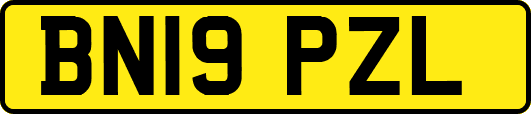 BN19PZL