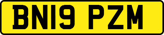 BN19PZM