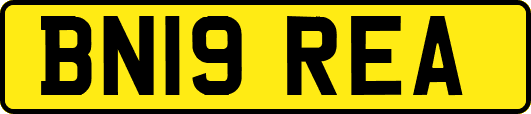 BN19REA