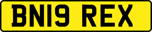 BN19REX