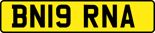 BN19RNA