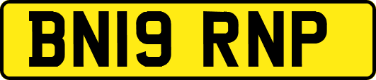 BN19RNP