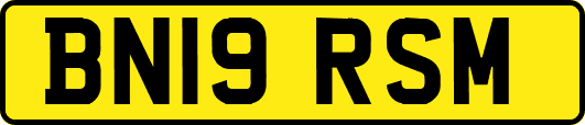 BN19RSM