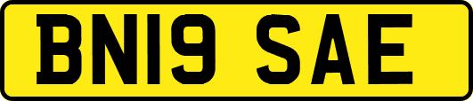 BN19SAE