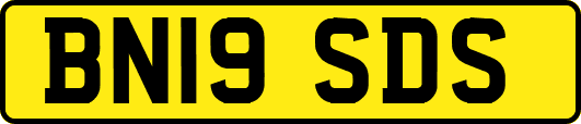 BN19SDS