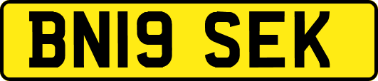 BN19SEK