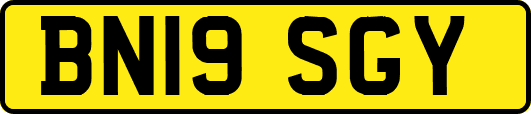 BN19SGY