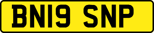 BN19SNP