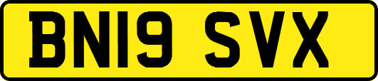 BN19SVX