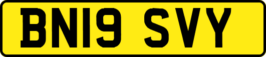 BN19SVY