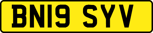 BN19SYV