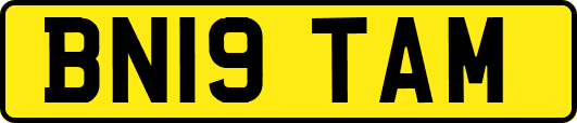 BN19TAM