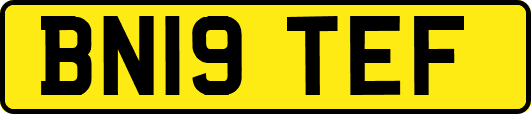 BN19TEF