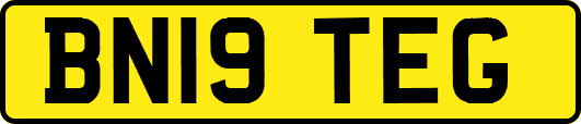 BN19TEG