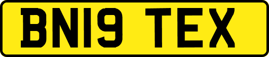 BN19TEX