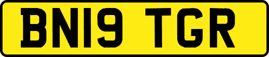 BN19TGR