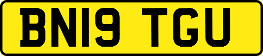 BN19TGU