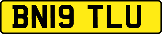 BN19TLU