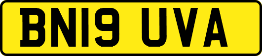 BN19UVA